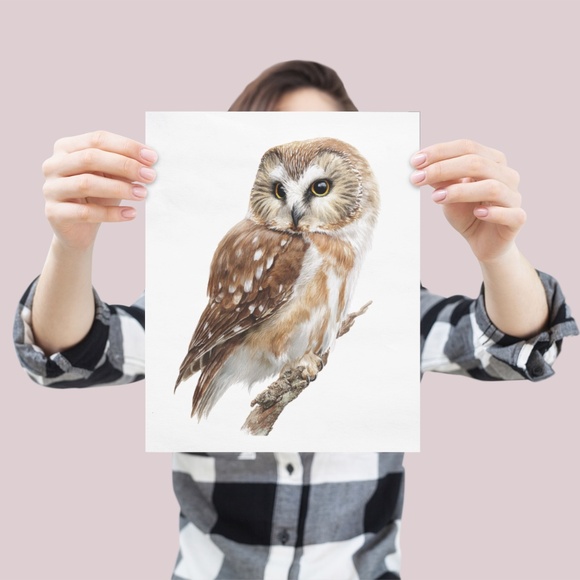 Watercolor Northern Saw-whet Owl Portrait Wall Art Print Poster, Unframed - Picture 4 of 6